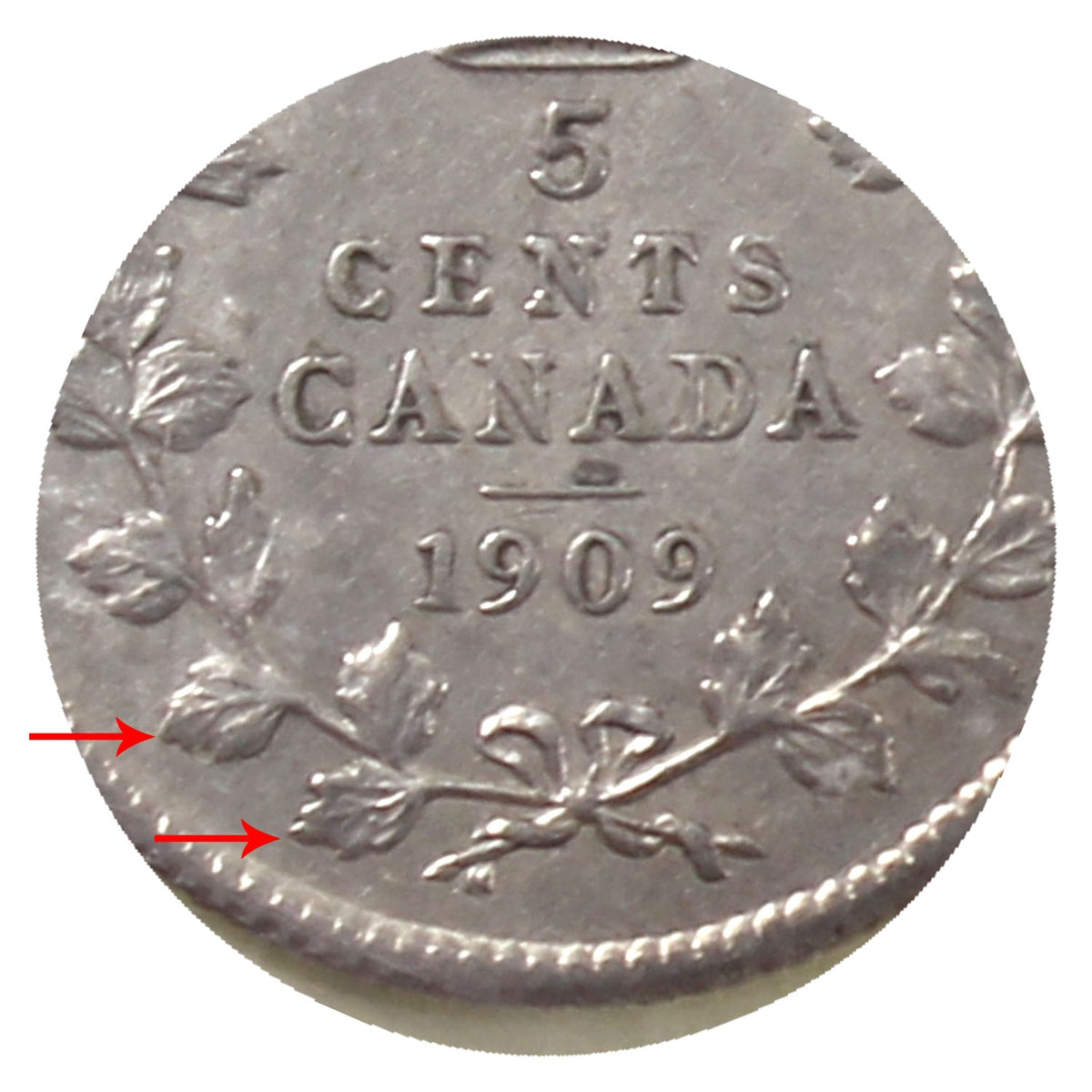 1909 Round Leaves, Bow Tie Canada 5-cents ICCS Certified EF45
