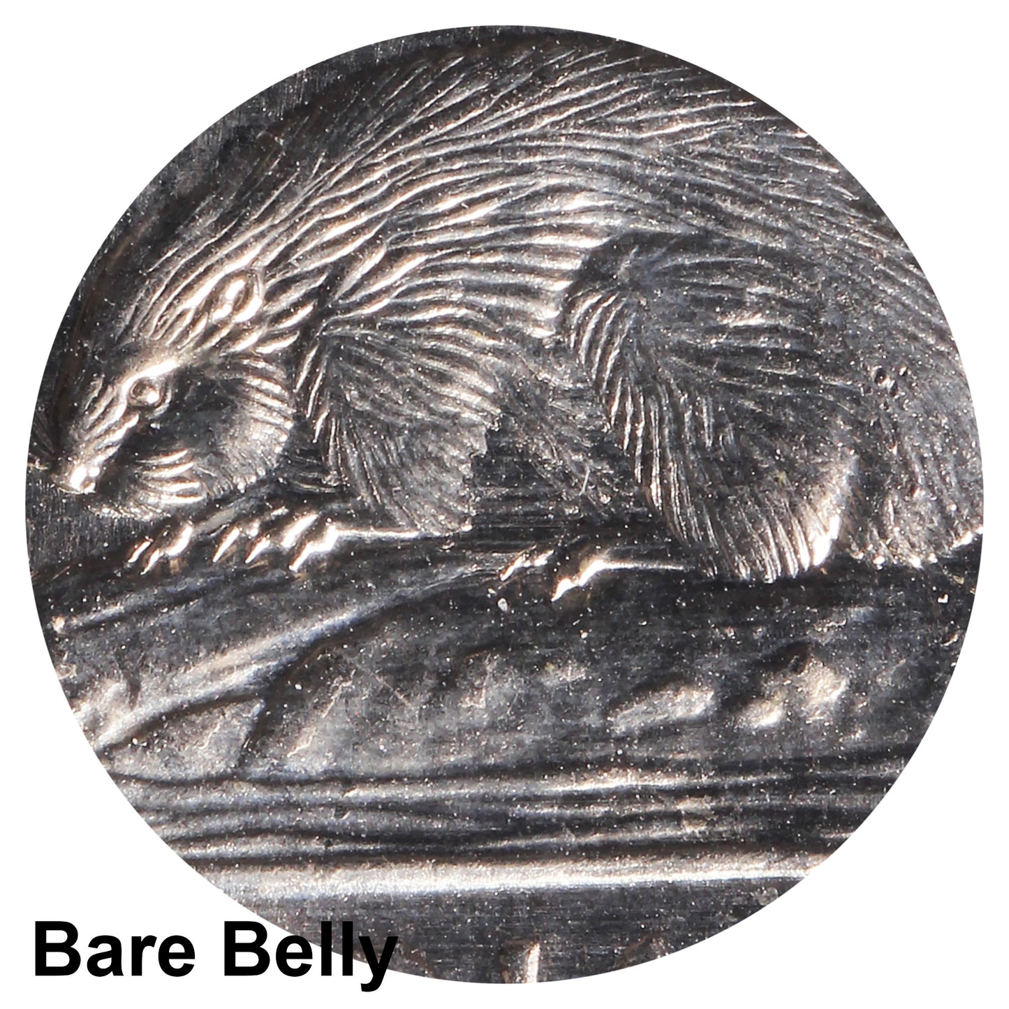 1990 Bare Belly Canada 5-cents ICCS Certified MS63