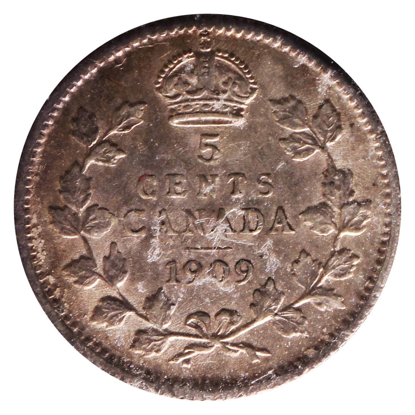 1909 Round Leaves Canada 5-cents ICCS Certified AU50