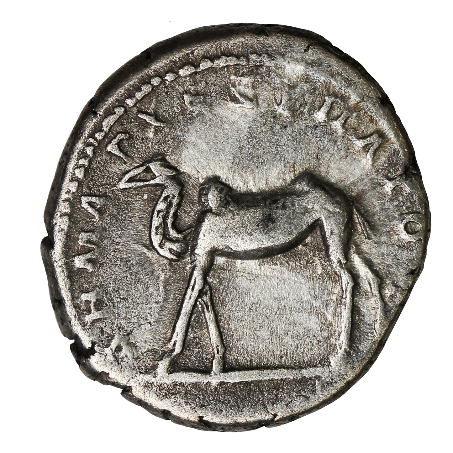 Ancient Rome 98-117AD Rev. Camel Trajan Silver Denarius EF-AU (EF45)