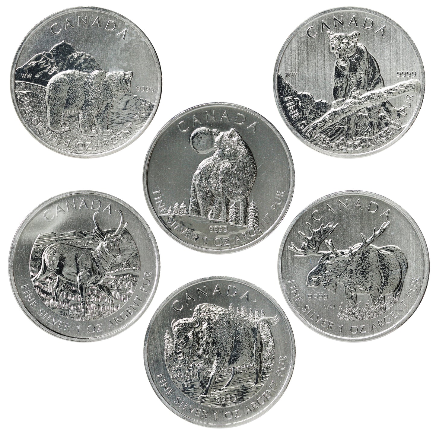 Lot of 6x 2011-2013 Canada $5 Wildlife 1oz. .999 Silver (No Tax) Lightly Toned. 6pcs