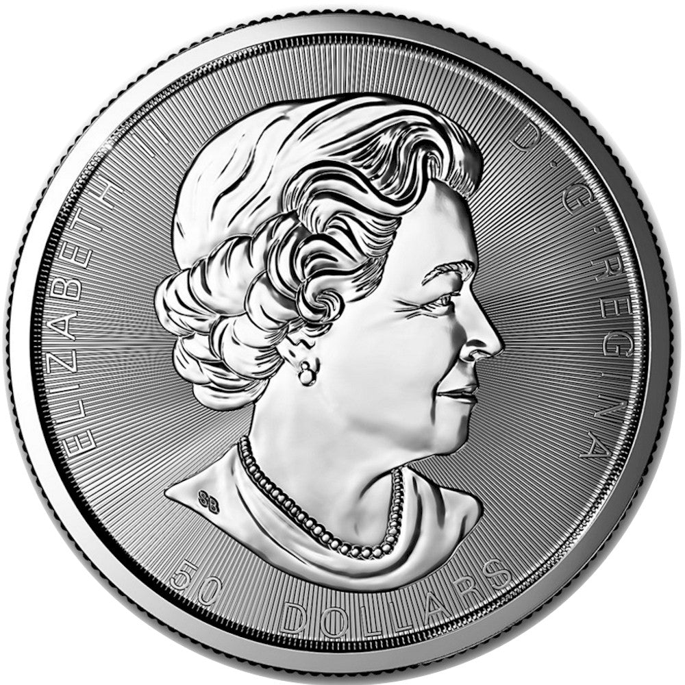2017 Canada $50 Magnificent Maple Leaves 10oz. Fine Silver (No Tax) Scuffed Capsule