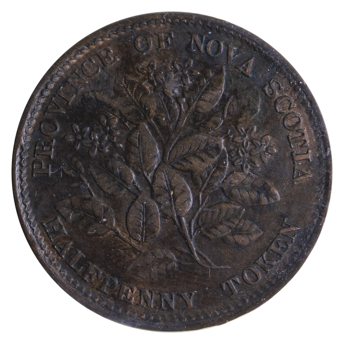 NS-5A1 1856 Nova Scotia Victoria Mayflower Halfpenny Token ICCS Certified EF40