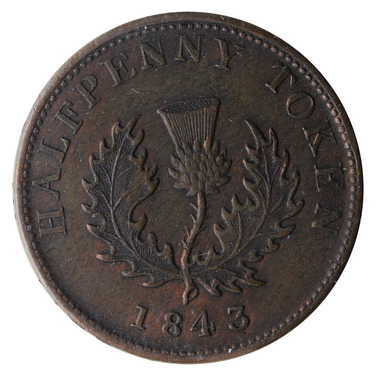 NS-1F5 1843 Nova Scotia Victoria Thistle Half Penny Token ICCS Certified EF45 BR #874