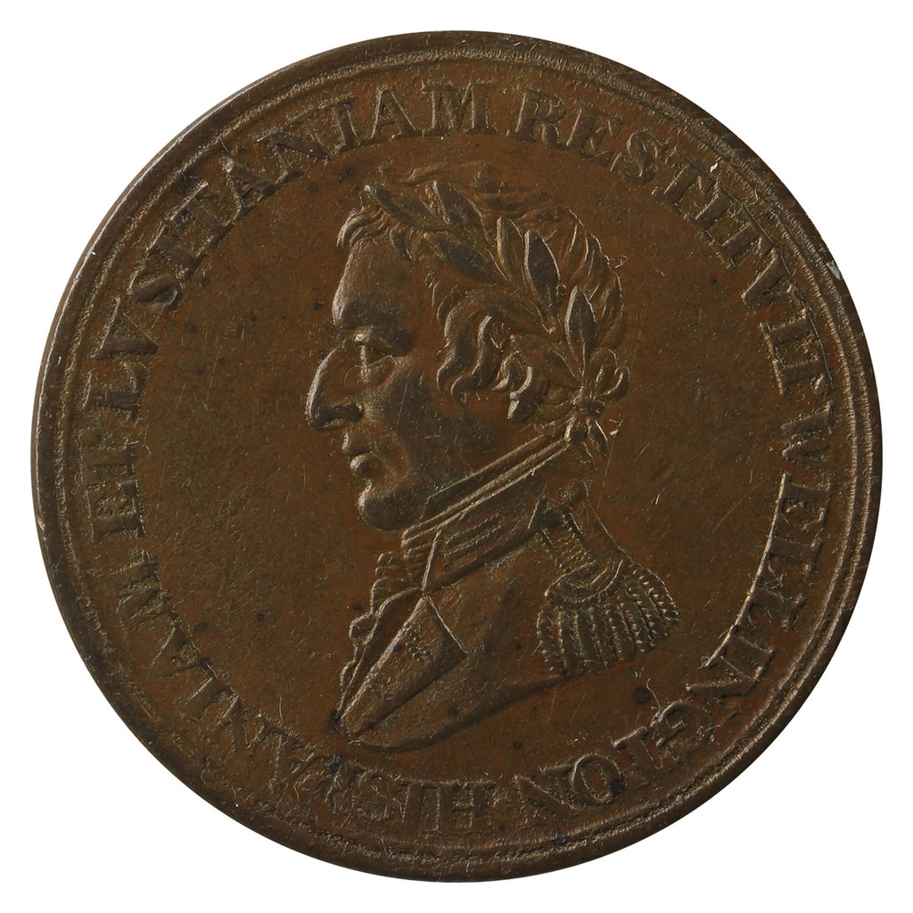 WE-11A6 Wellington Cuidad Rodrigo Badajoz Salamanca Half Penny Token Almost UNC (AU50) $