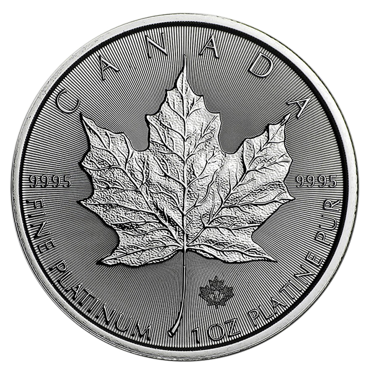 Random Date 1oz. .9995 Platinum Maple Leaf (TAX Exempt) - NO CREDIT CARDS or PAYPAL