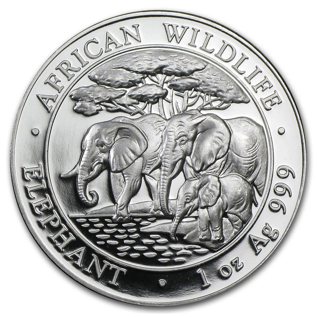 2013 Somali Republic 100 Shillings Elephant 1oz Silver (No Tax) Light toning/Edge Toning