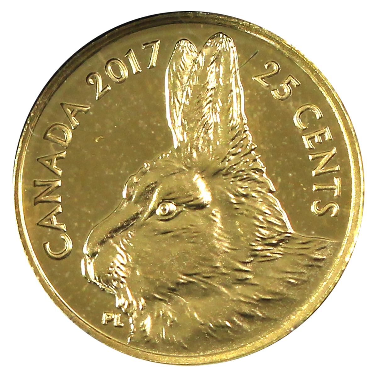 2017 Canada 25ct Traditional Arctic Hare: Predator vs Prey Gold (No Tax) Capsule only