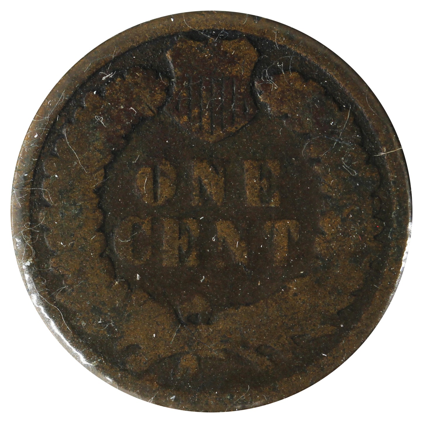 1880 USA Cent Good (G4) Scratched, Cleaned, or Impaired