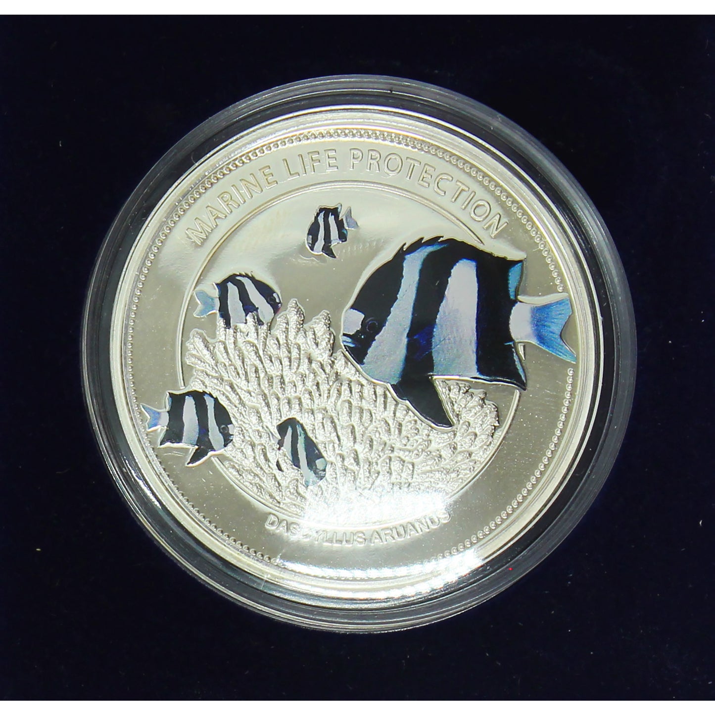 2015 Palau $5 Whitetail Dascyllus Sterling Silver Proof Commemorative Coin (Toned)