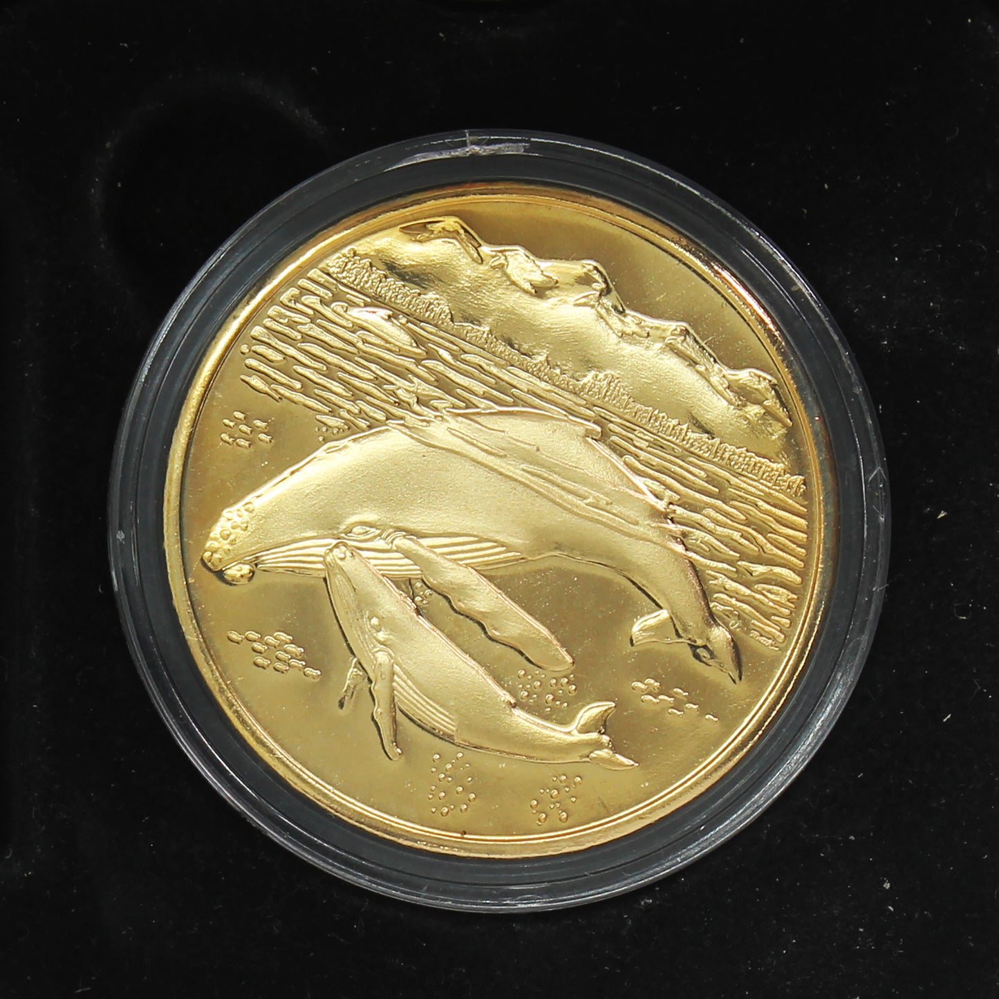 Alaska Mint Humpback Whale Golden Bronze Medallion in Case (Scratched Capsule)
