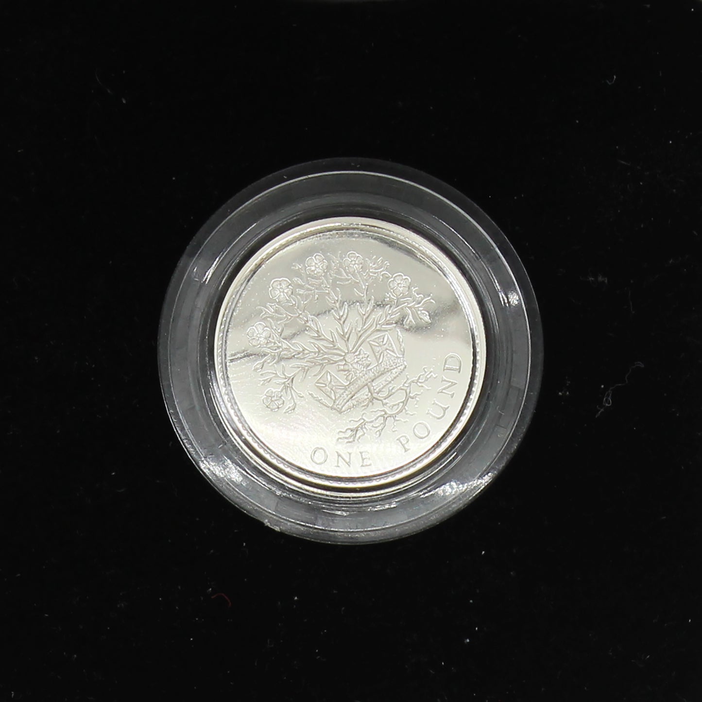 1991 United Kingdom 1 Pound Sterling Silver Proof Coin in Case