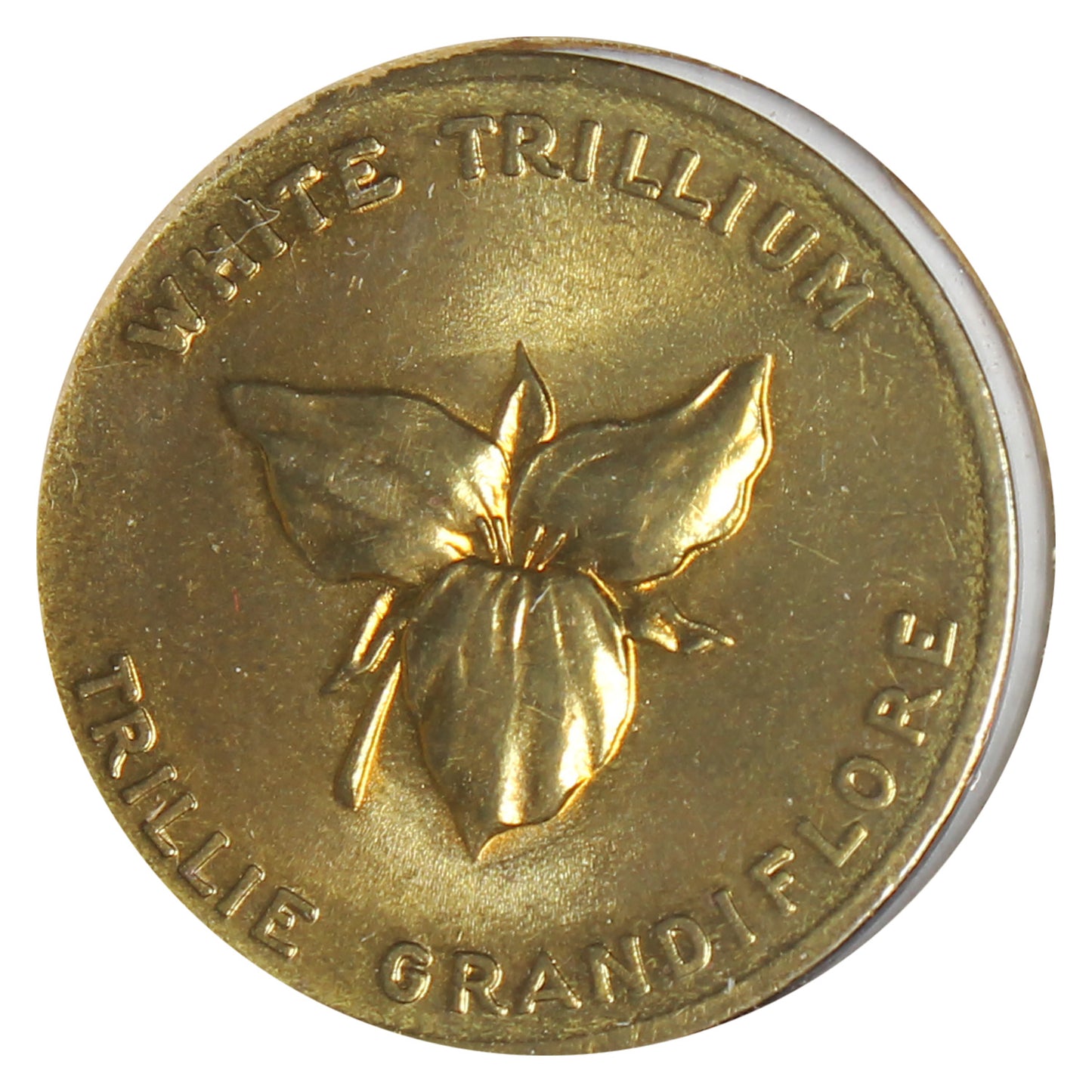 Ontario White Trillium Shell Oil Arms & Flowers Medallion