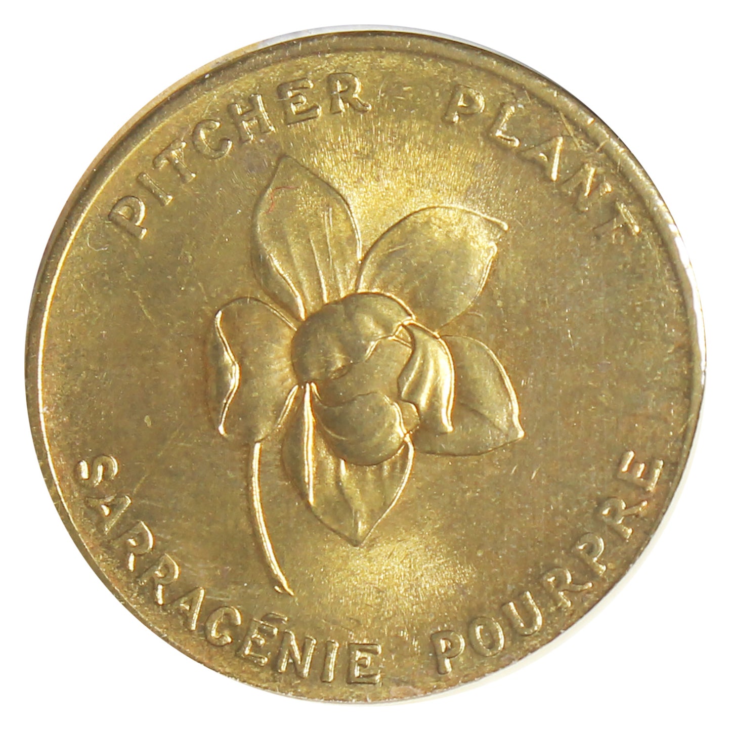 Newfoundland Pitcher Plant Shell Oil Arms & Flowers Medallion