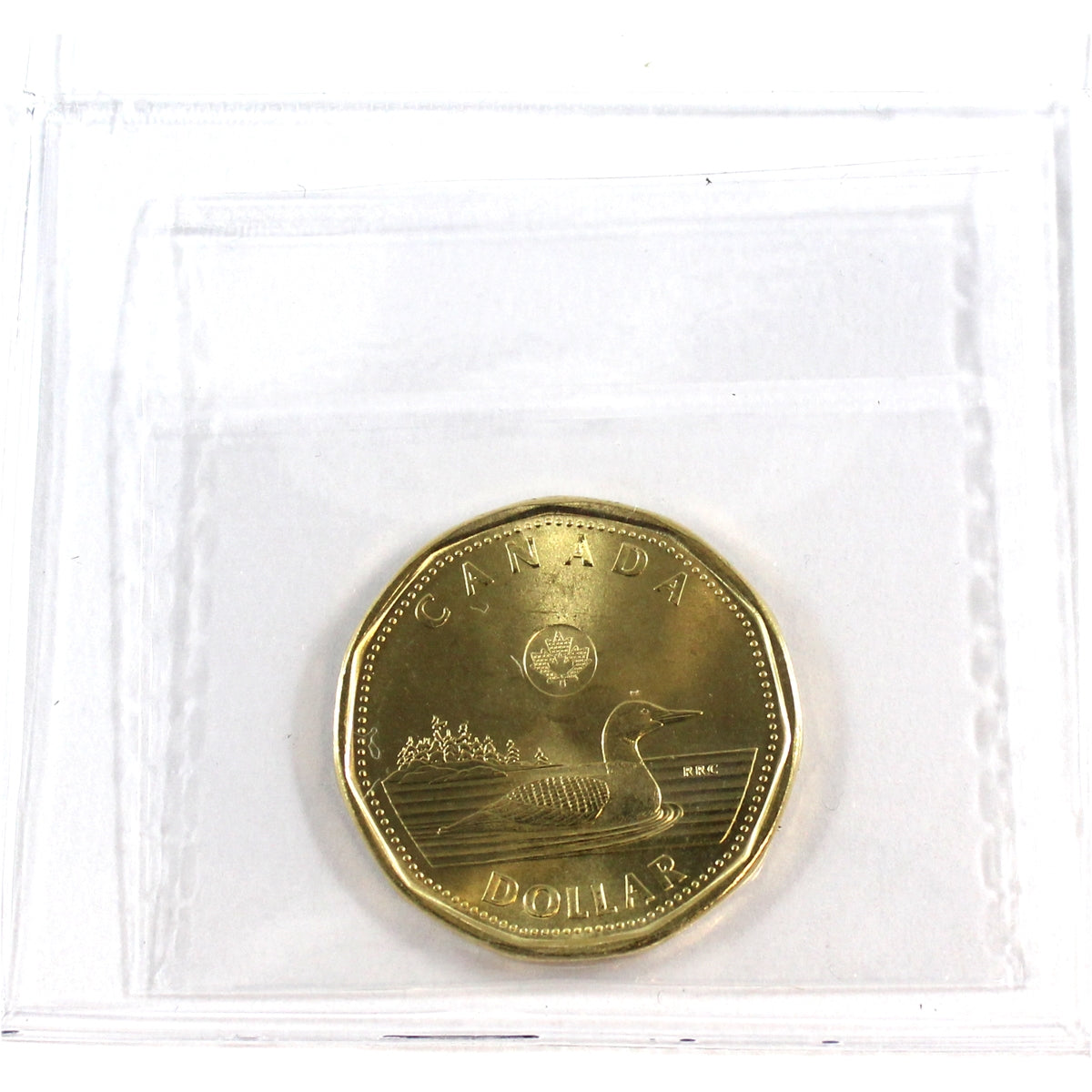2017 Canada Loon Dollar ICCS Certified MS65