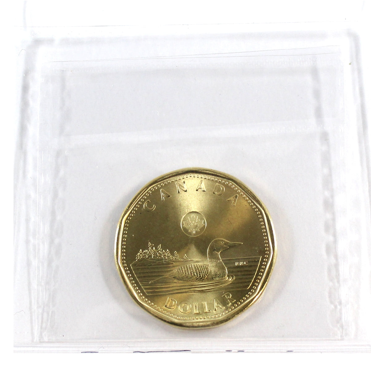 2017 Canada Loon Dollar ICCS Certified MS66