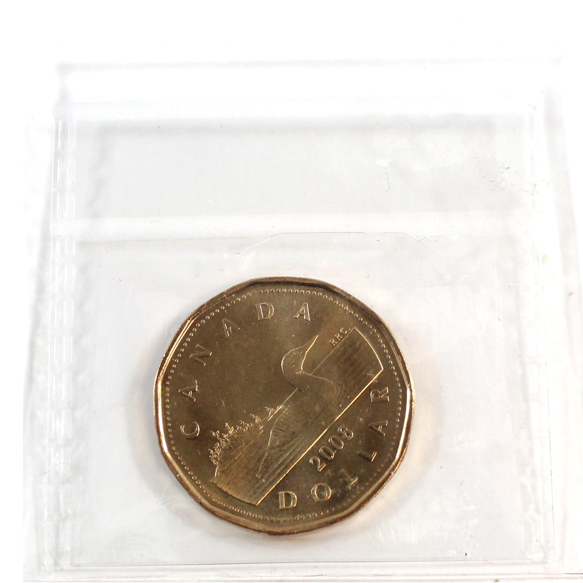 2008 Canada Loon Dollar ICCS Certified MS65