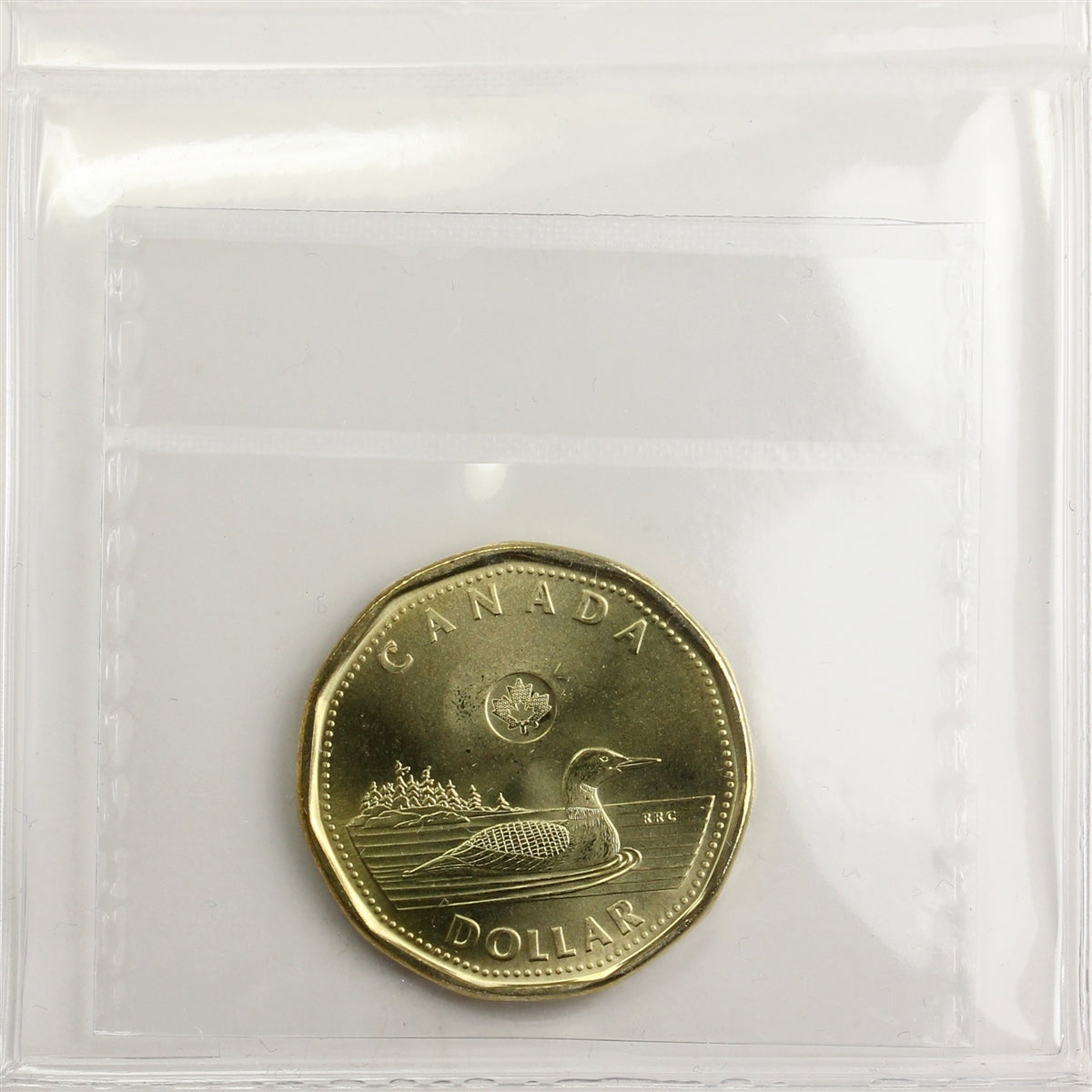 2022 Canada Loon Dollar ICCS Certified MS65