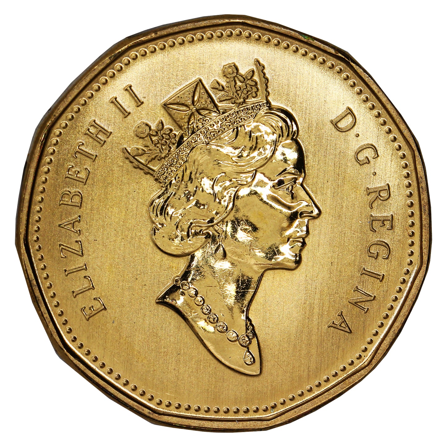 1999 Canada Loon Dollar Specimen