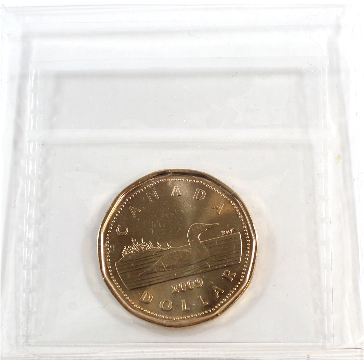 2009 Canada Loon Dollar ICCS Certified MS65