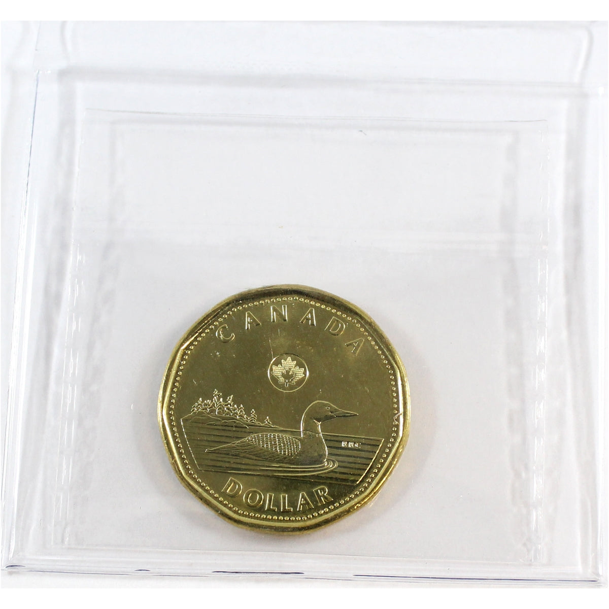 2013 Canada Loon Dollar ICCS Certified MS66