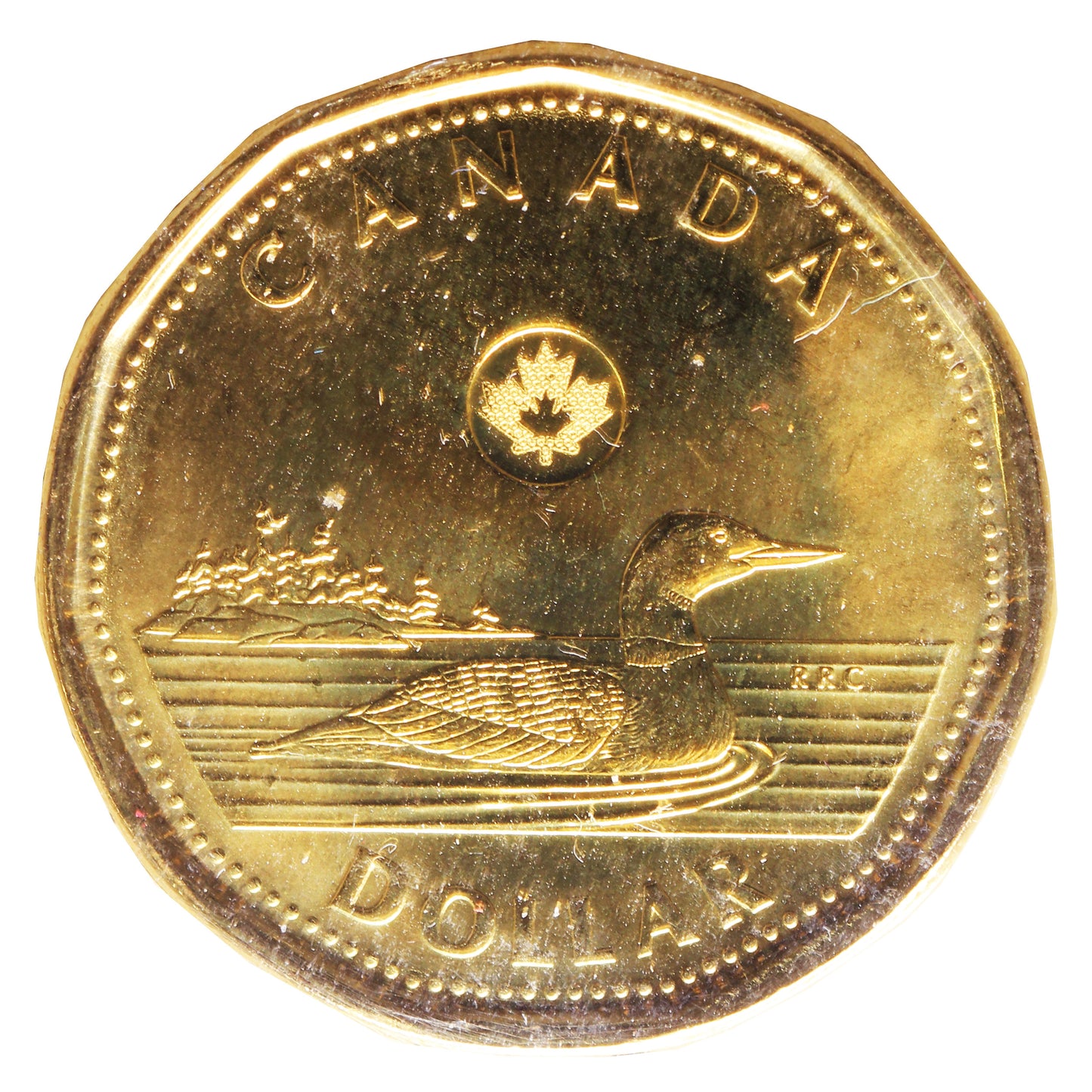 2014 Canada Loon Dollar ICCS Certified MS67