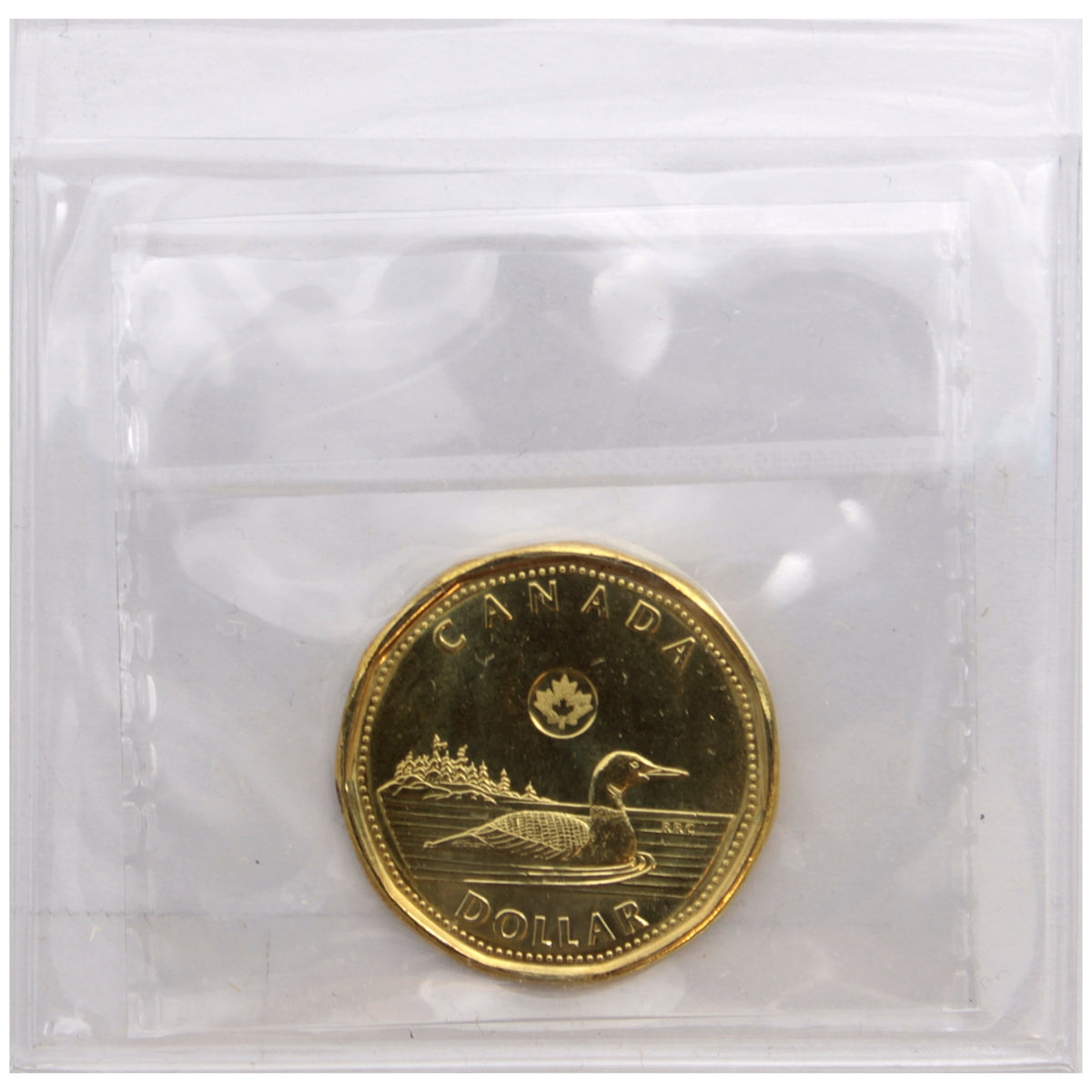 2015 Canada Loon Dollar ICCS Certified MS65