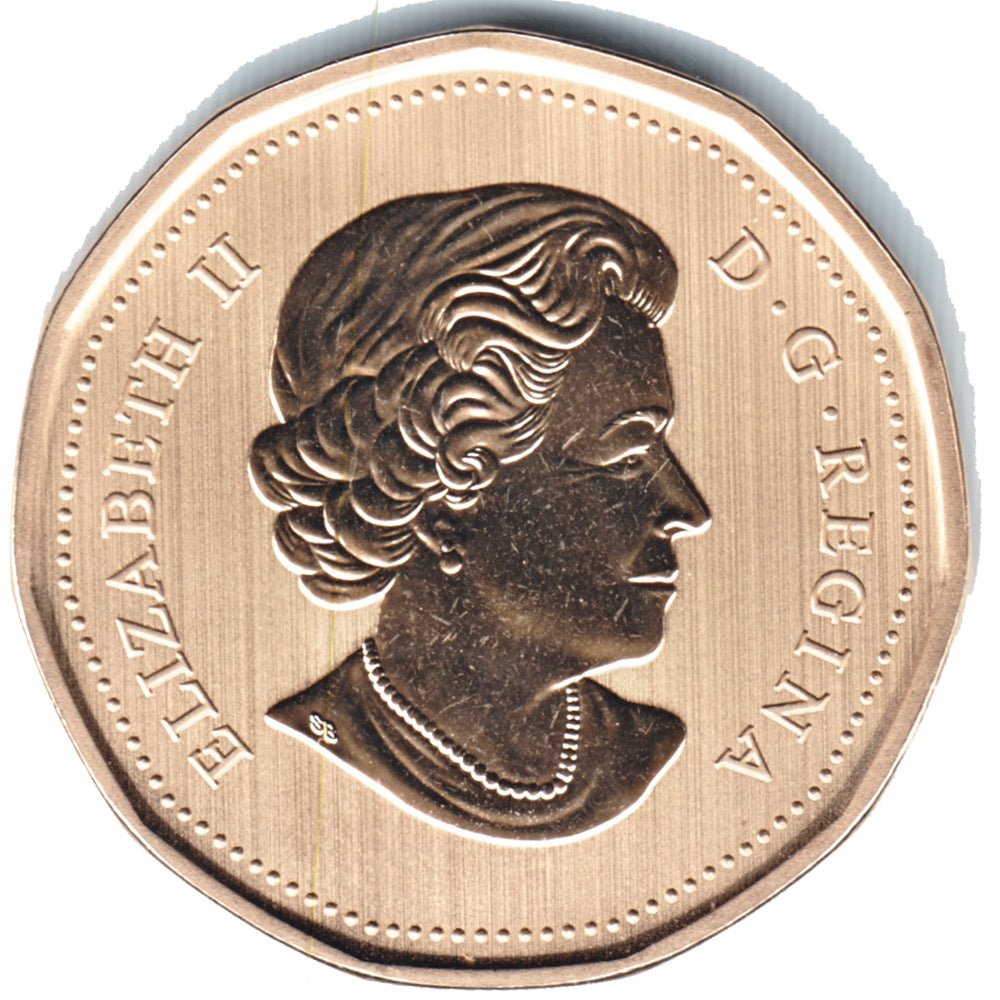 2016 Canada Tundra Swan Dollar Specimen