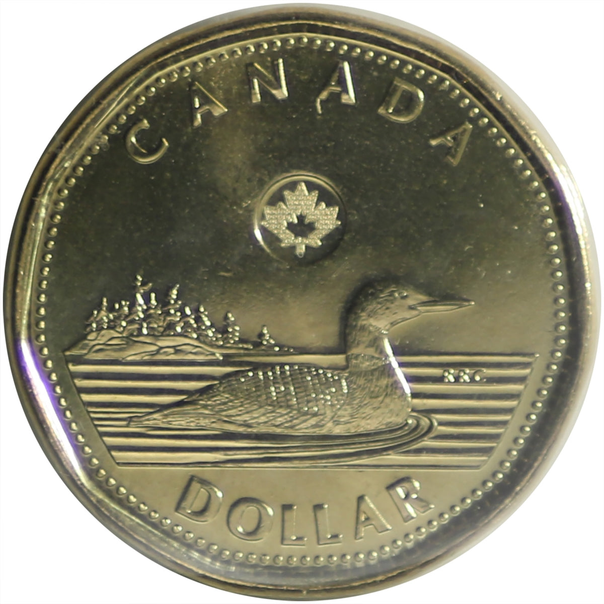 2019 Canada Loon Dollar ICCS Certified MS64