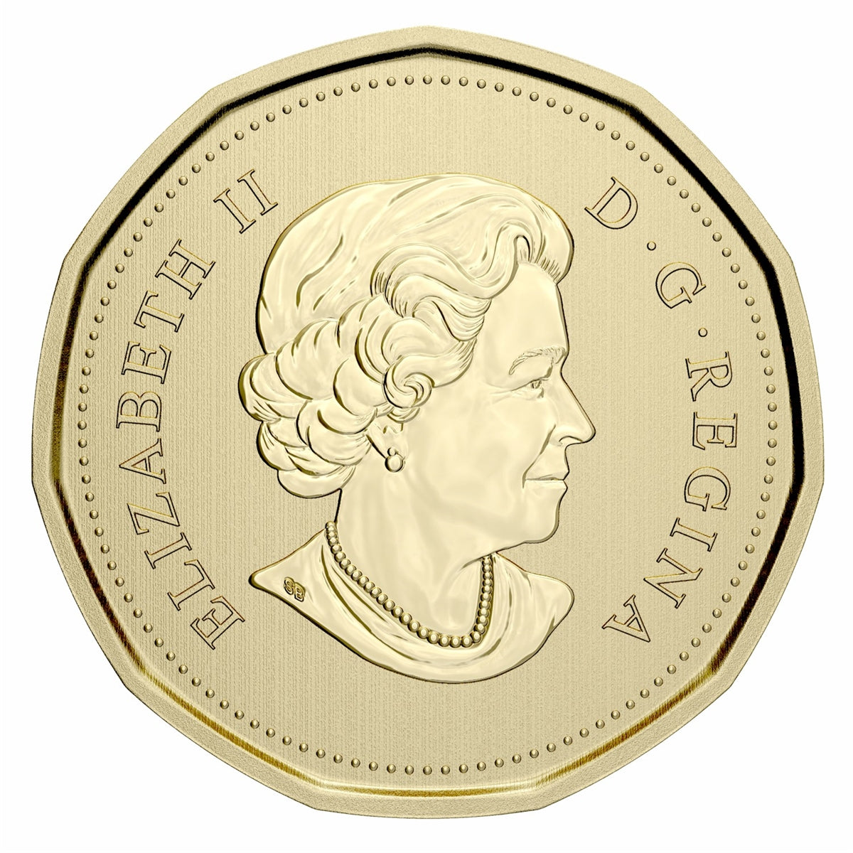 2021 Blanding Turtle Canada Loon Dollar Specimen