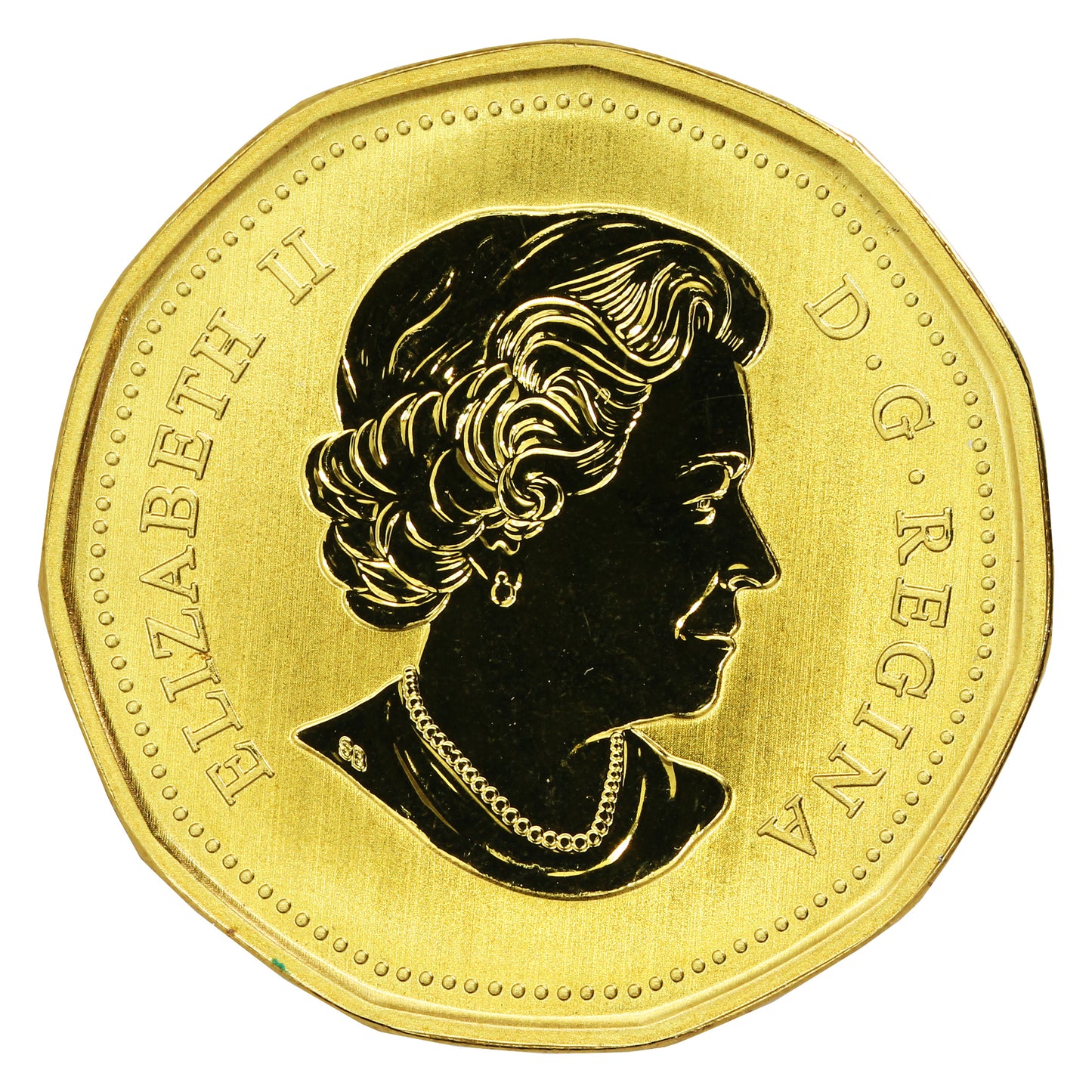 2017 Canada Snow Goose Dollar Specimen