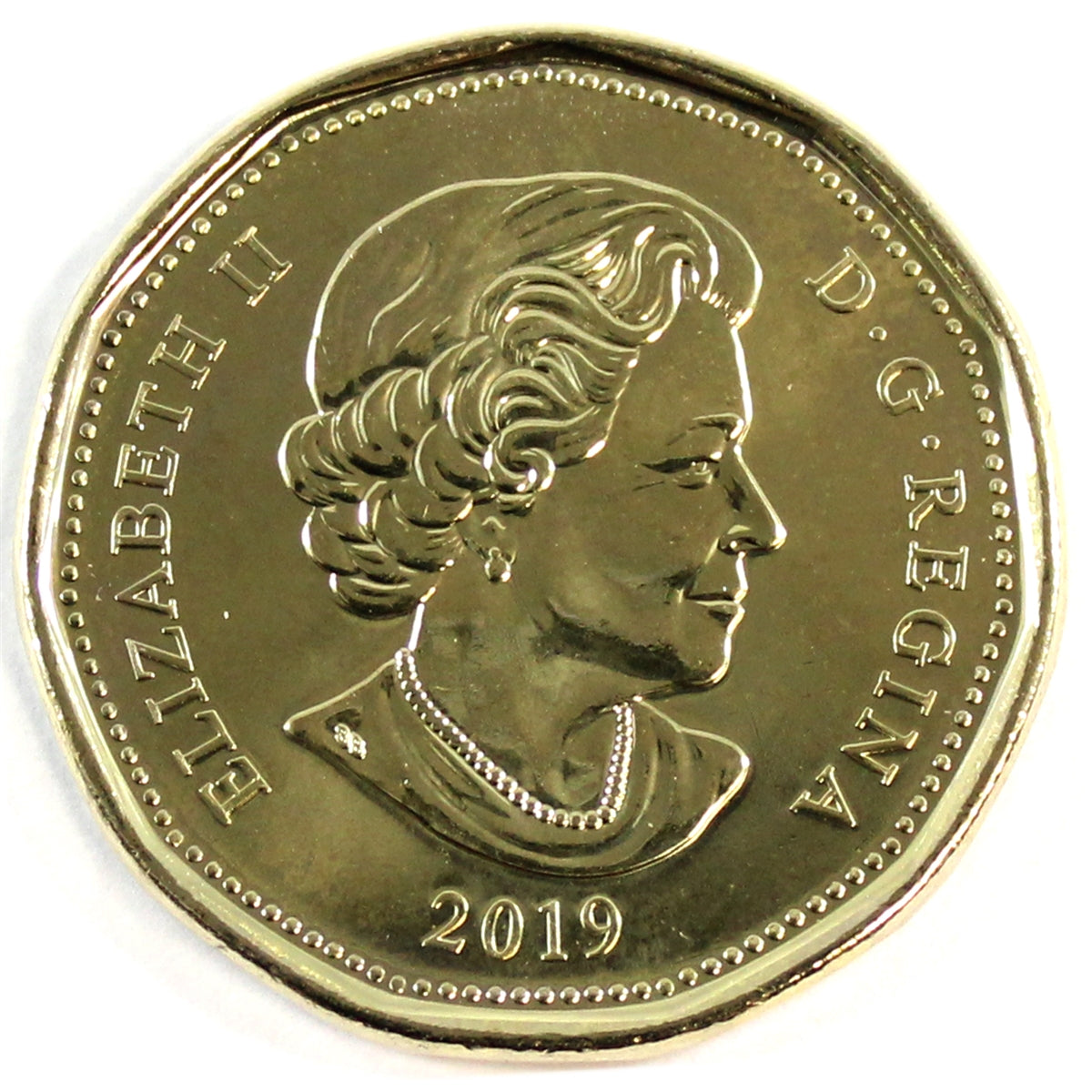 2019 Canada Loon Dollar Brilliant Uncirculated (MS63)