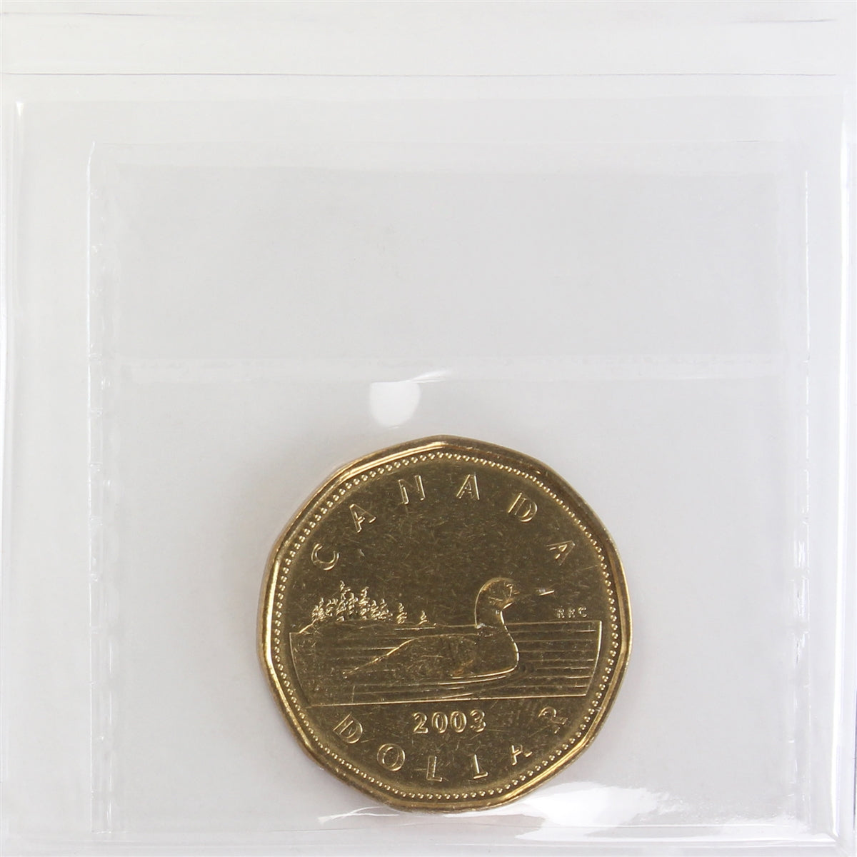2003 New Effigy Canada Loon Dollar ICCS Certified MS66