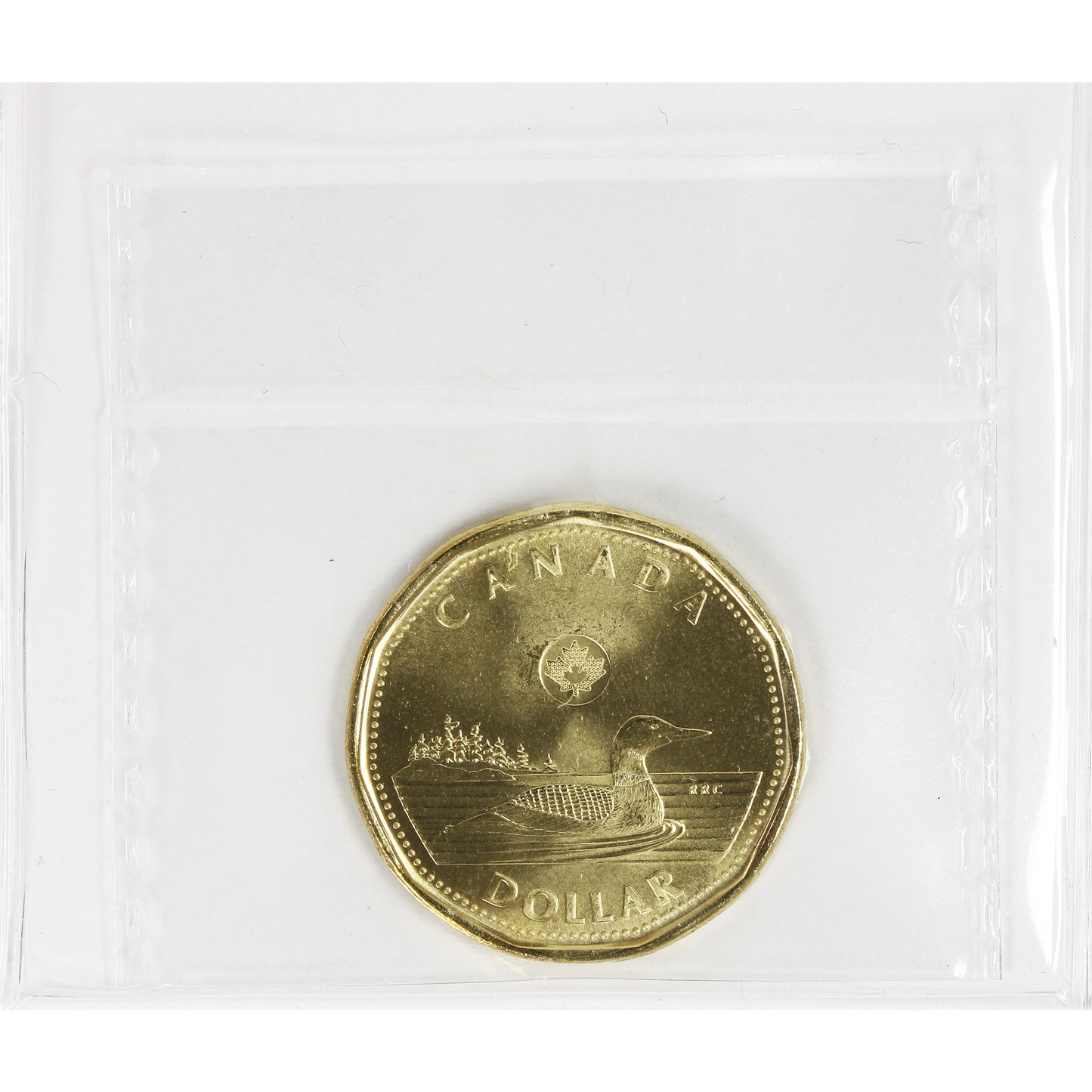 2023 4 Pearls Canada Loon Dollar ICCS Certified MS67