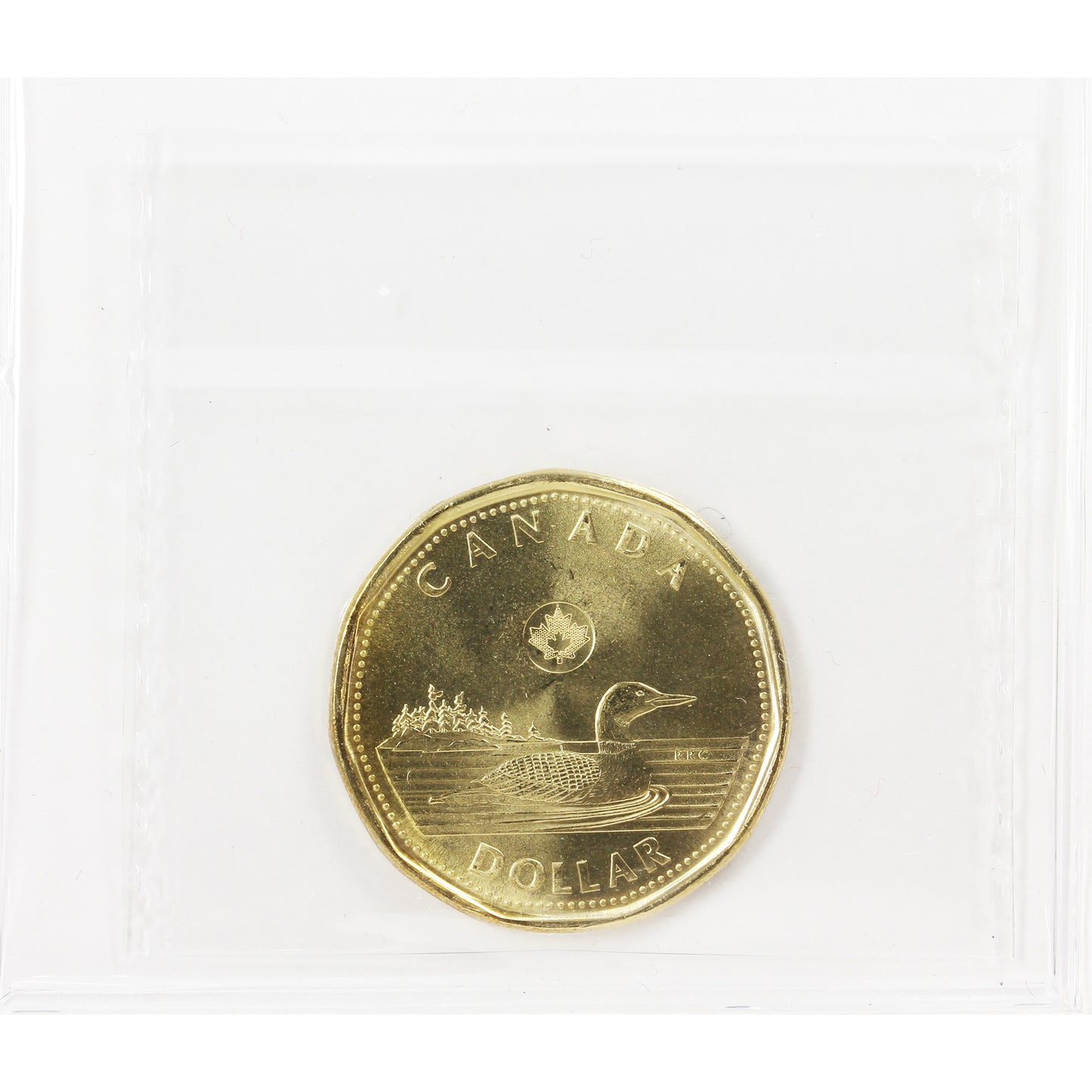 2023 4 Pearls Canada Loon Dollar ICCS Certified MS66
