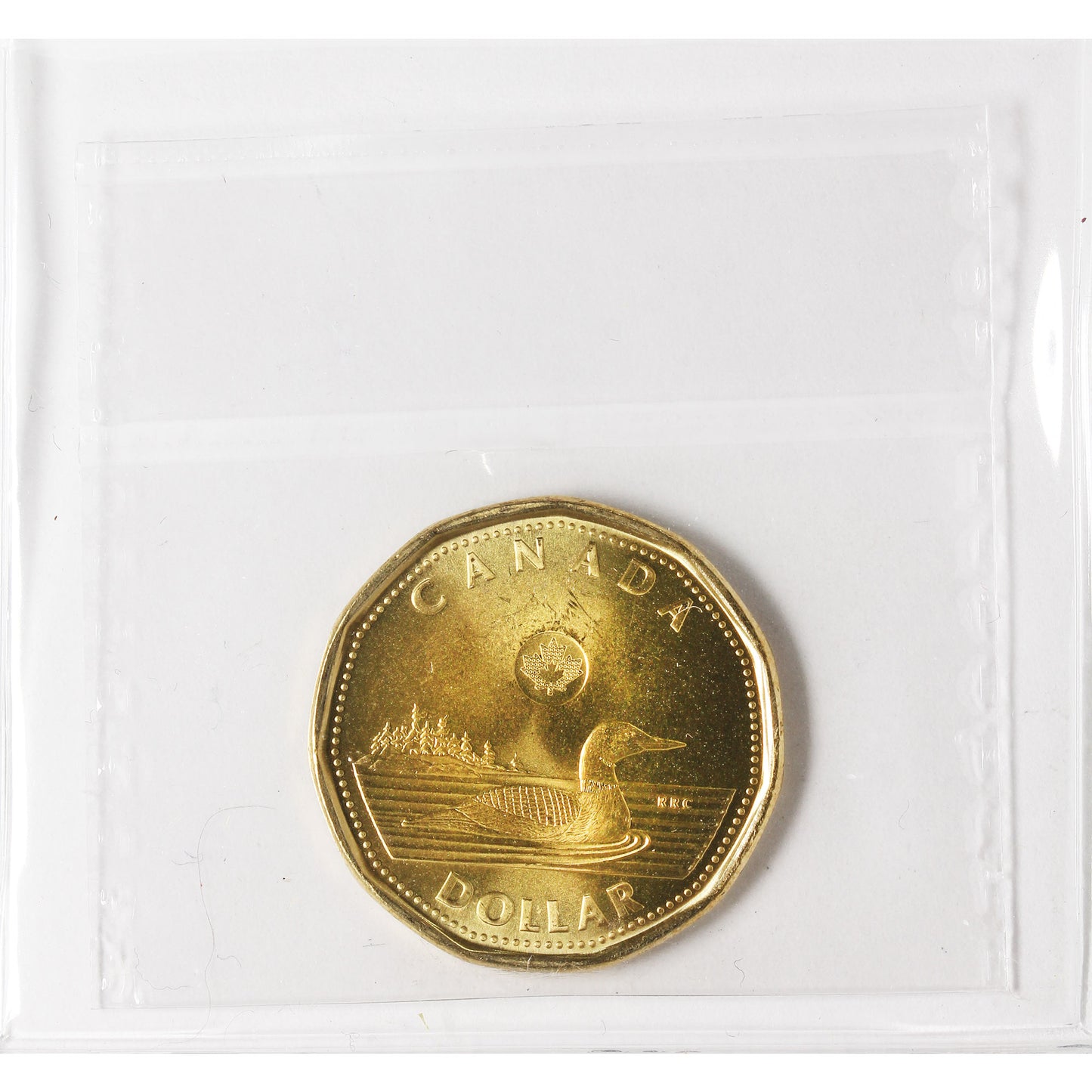 2023 KCIII Canada Loon Dollar ICCS Certified MS65