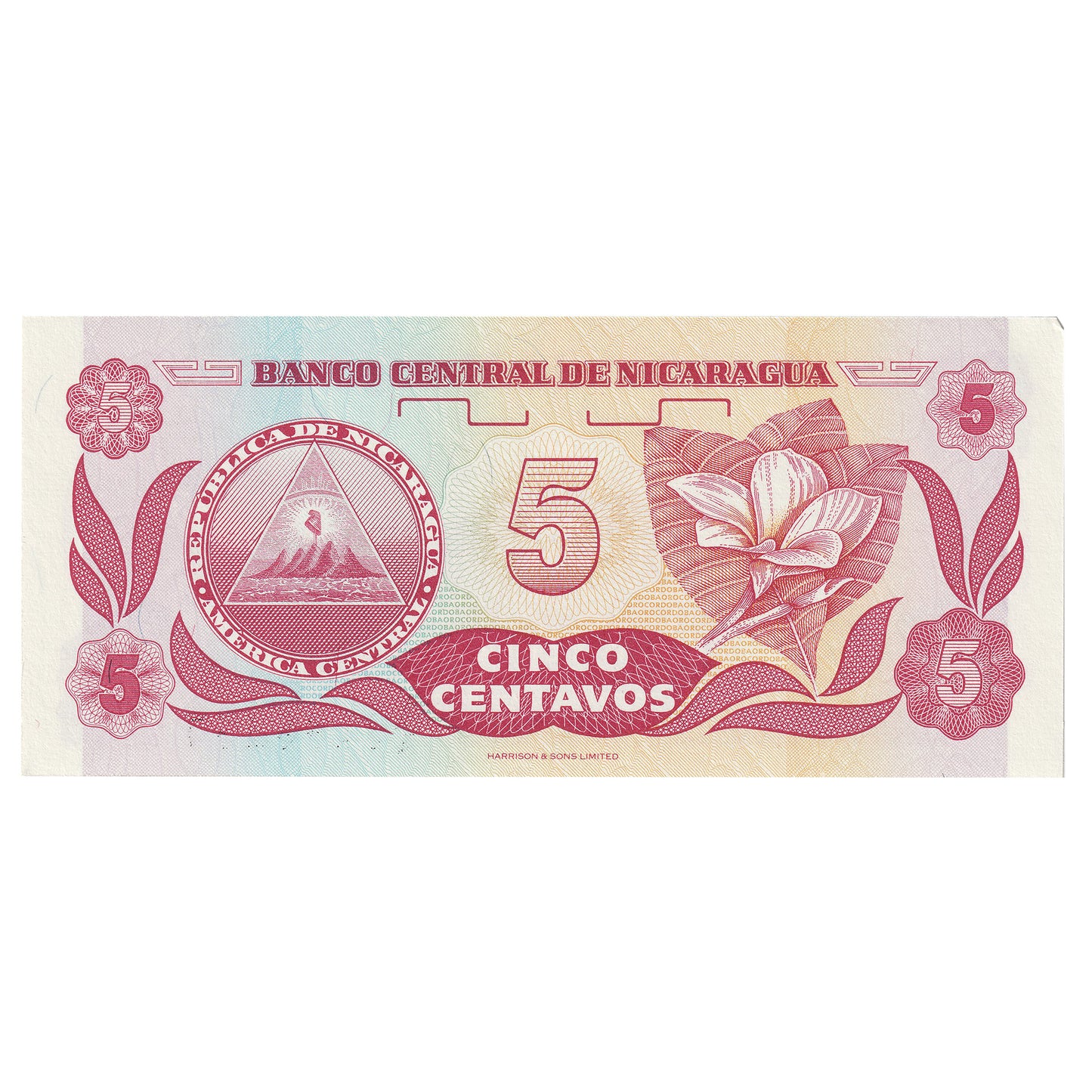Nicaragua No Date (1991) 5 Centavos Note, Pick #168a, UNC
