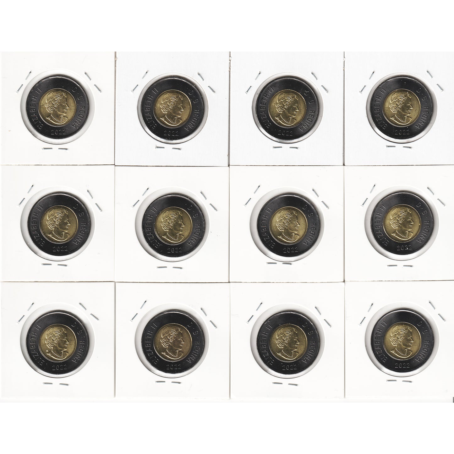 Lot of 12x 2022 Black Ring Canada Two Dollars, 12Pcs