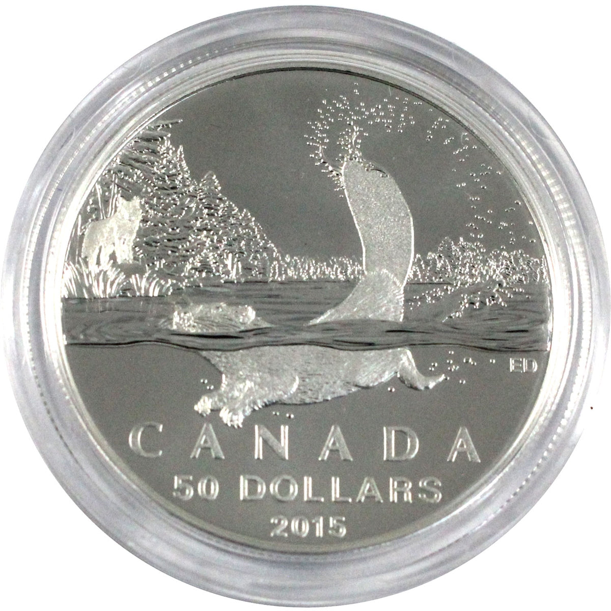 2015 Canada $50 for $50 Beaver Fine Silver (TAX Exempt) CAPSULE ONLY, toned