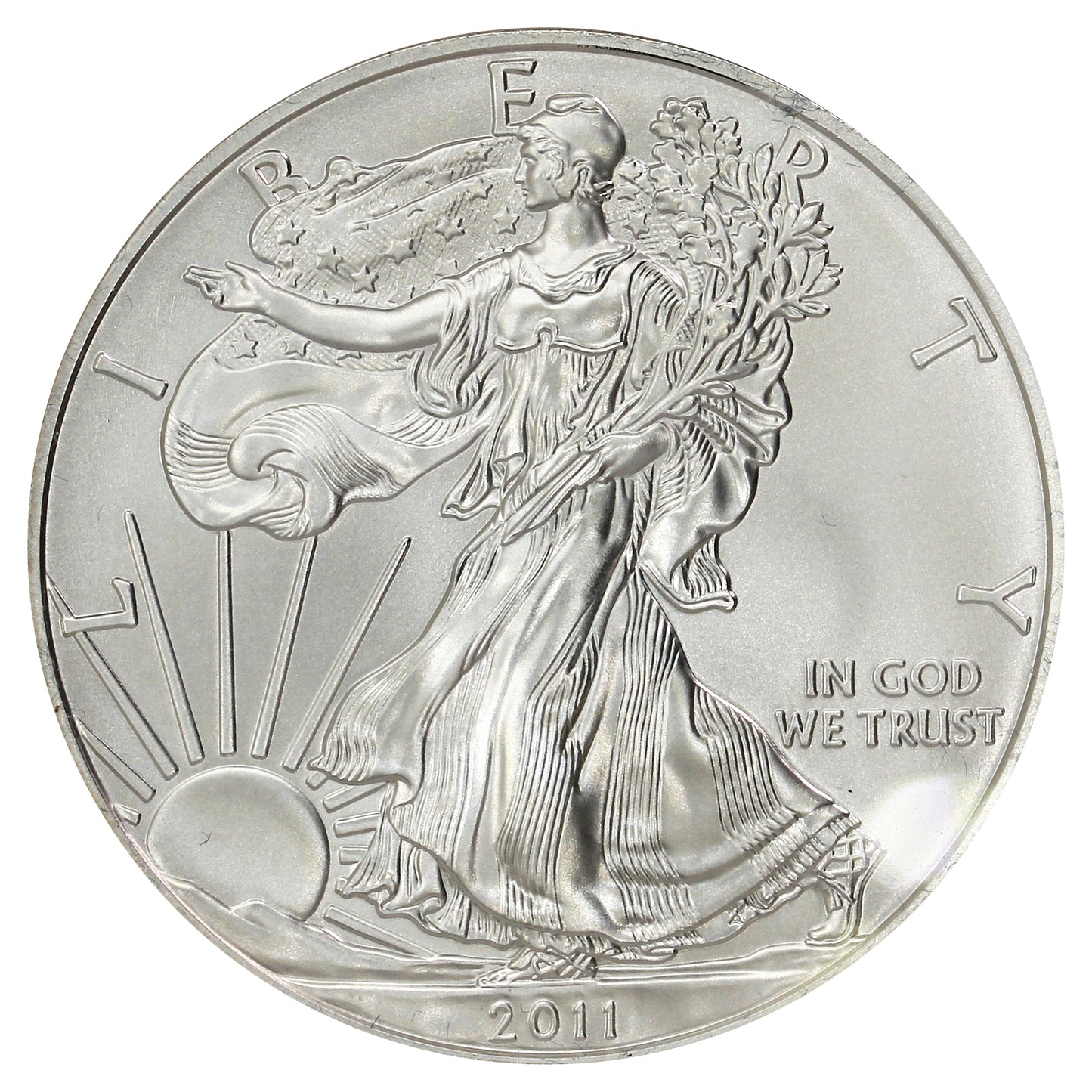 2011 W USA $1 American Eagle 1oz. .999 Silver (No Tax) Lightly Toned