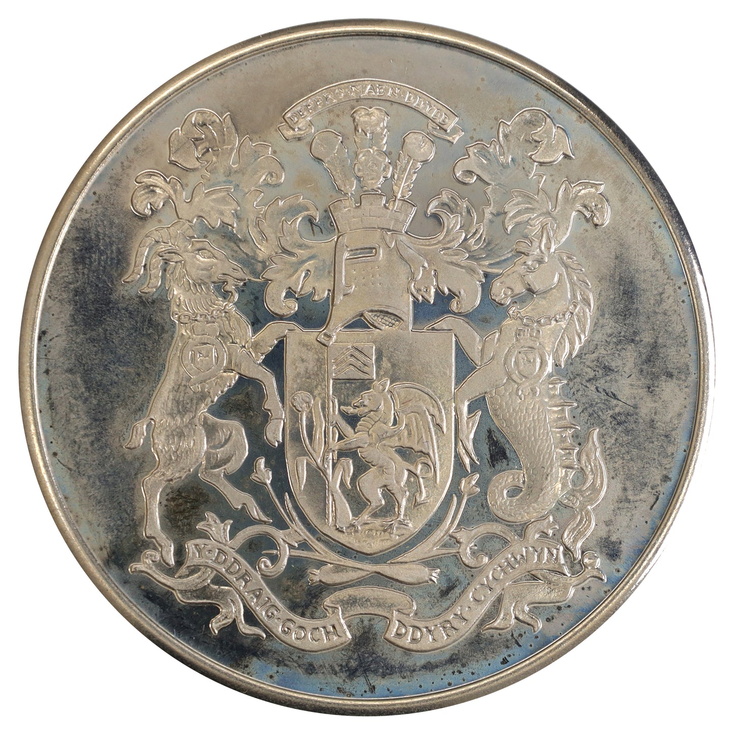 c.1970s Cardiff Castle Medallion in Case (Issues)