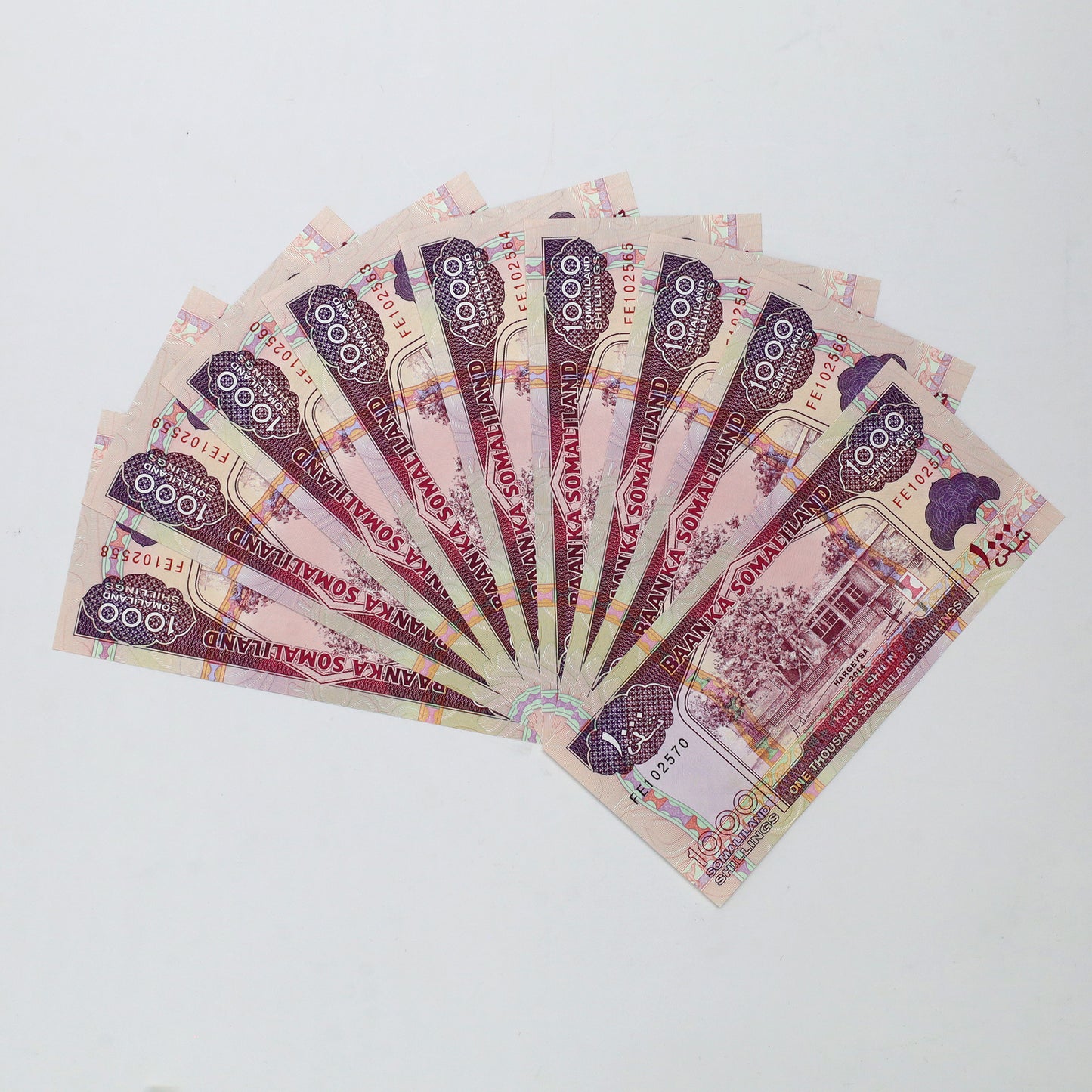 Lot of 9x Somaliland 2011-2016 1000 Shillings Banknotes, 9pcs