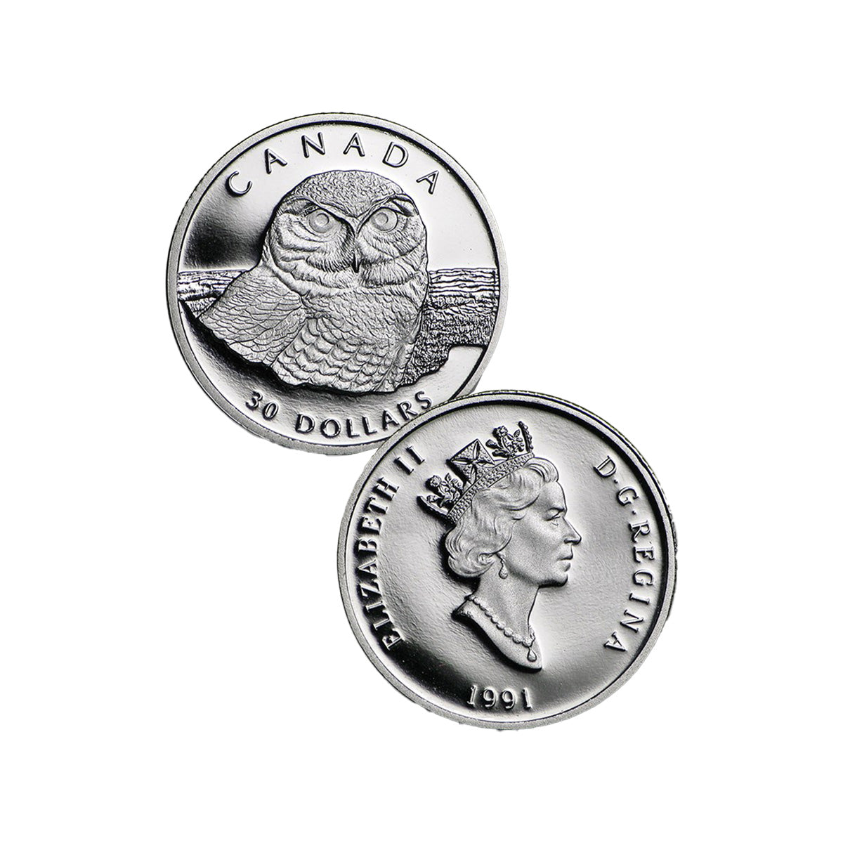 (LPO) 1991 Canada $30 Snowy Owl 1/10oz Platinum (Tax Exempt) Hairline Scr - NO Credit Card/Paypal