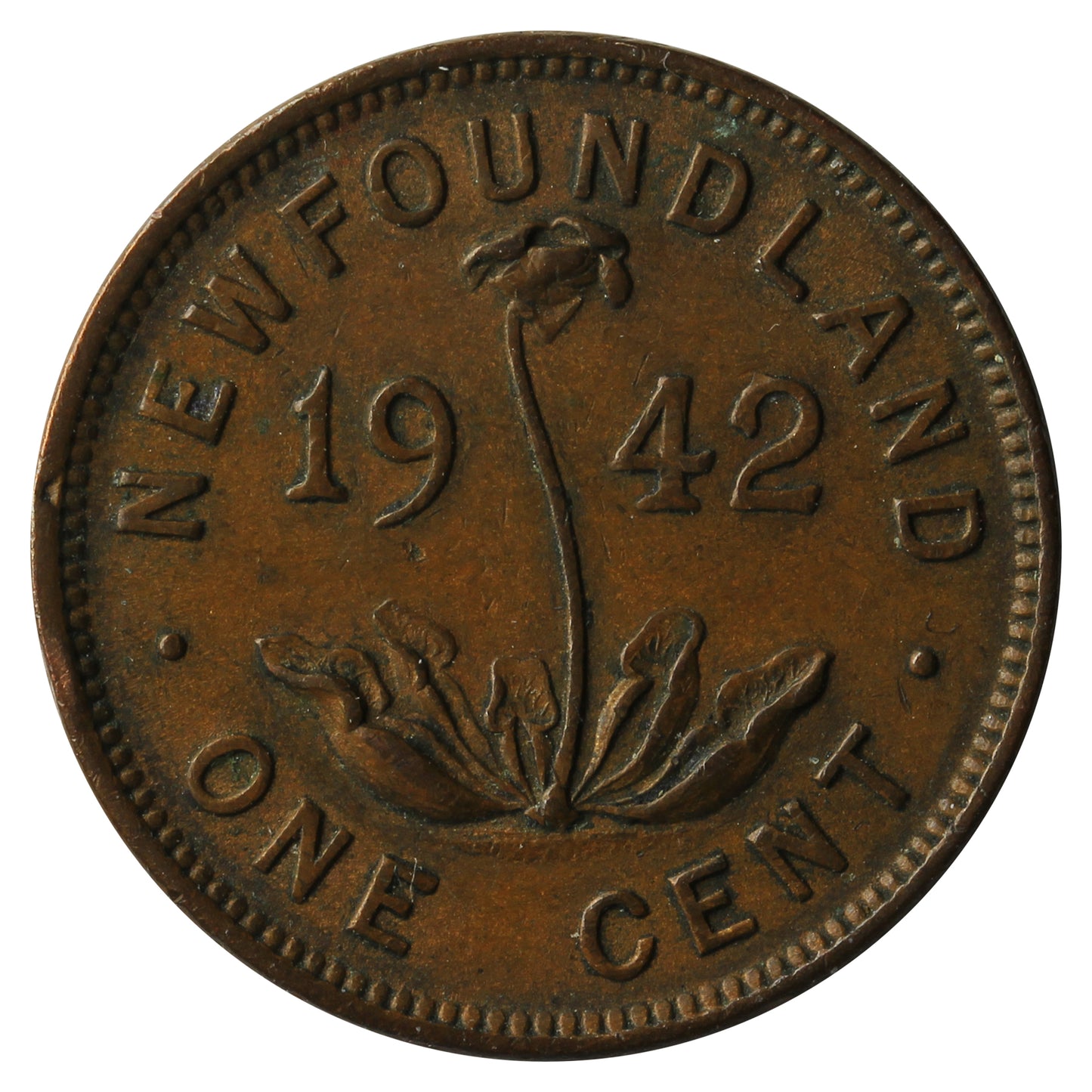 1942 Newfoundland 1-cent VF-EF (VF-30)