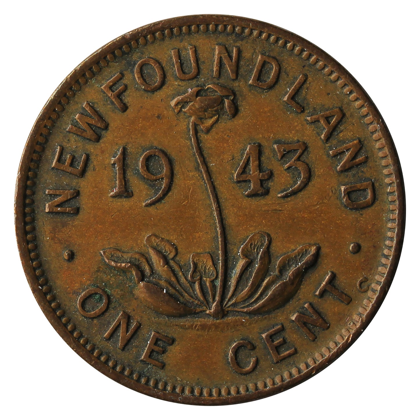 1943C Newfoundland 1-cent Extra Fine (EF-40)