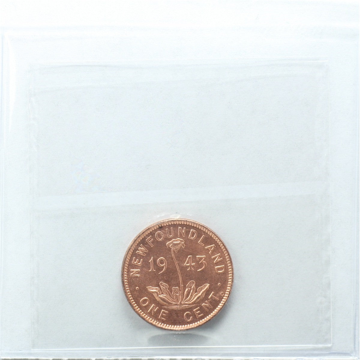 1943C Newfoundland 1-cent ICCSCertified MS64 Red (XCE 838)