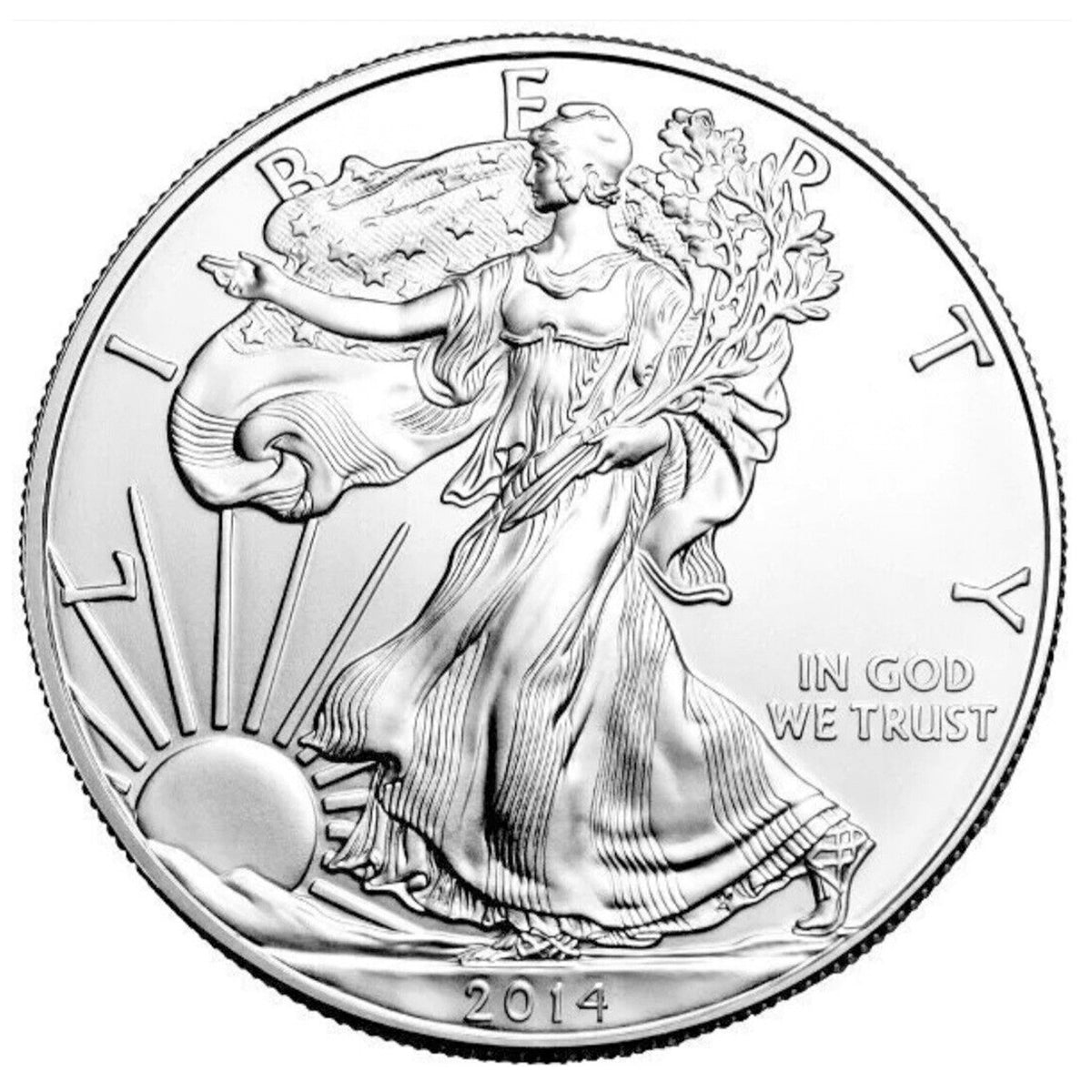 2014 United States $1 Silver Eagle 1oz. .999 Fine (No Tax)