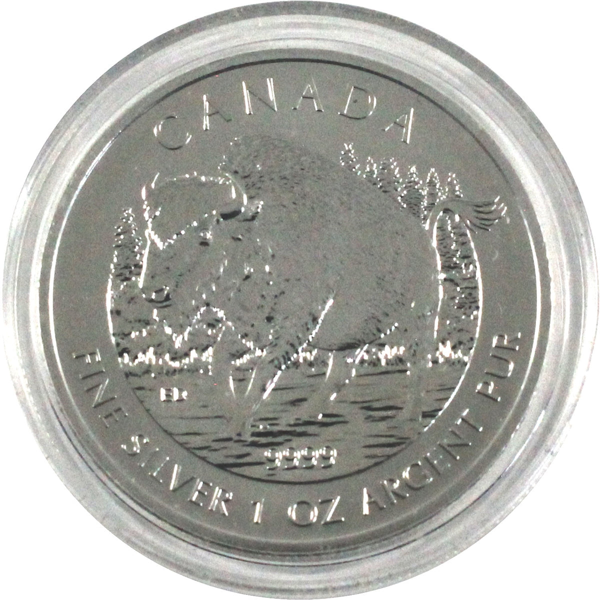 2013 Canada $5 Wildlife - Wood Bison .9999 Silver (No Tax) Lightly Toned