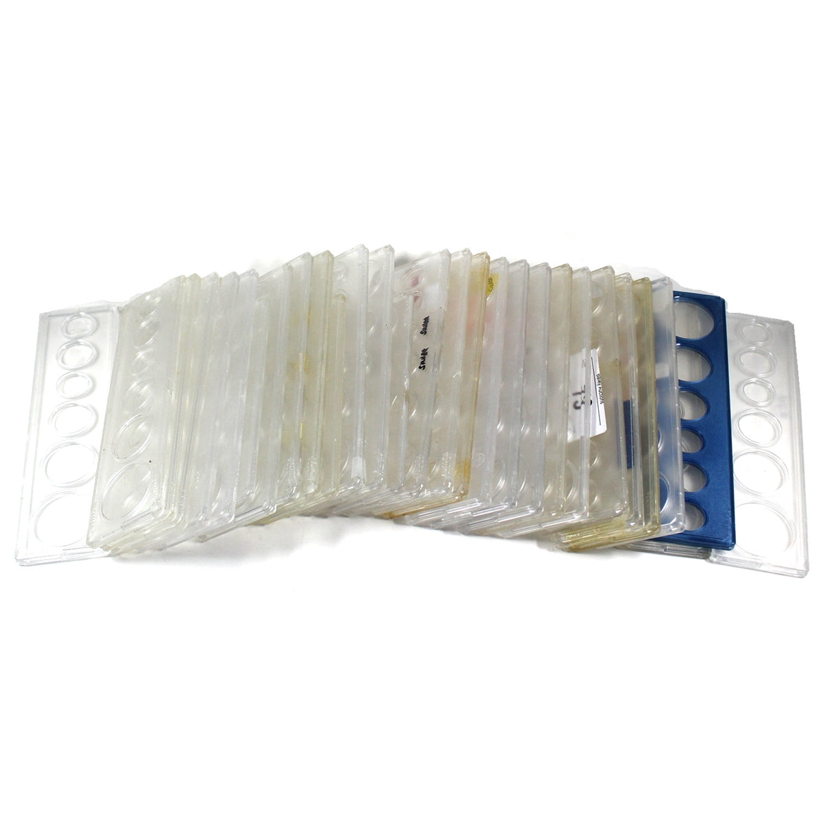 Lot of 30 x Used Hard Plastic Year Set Holders, 30Pcs (Sold as is)