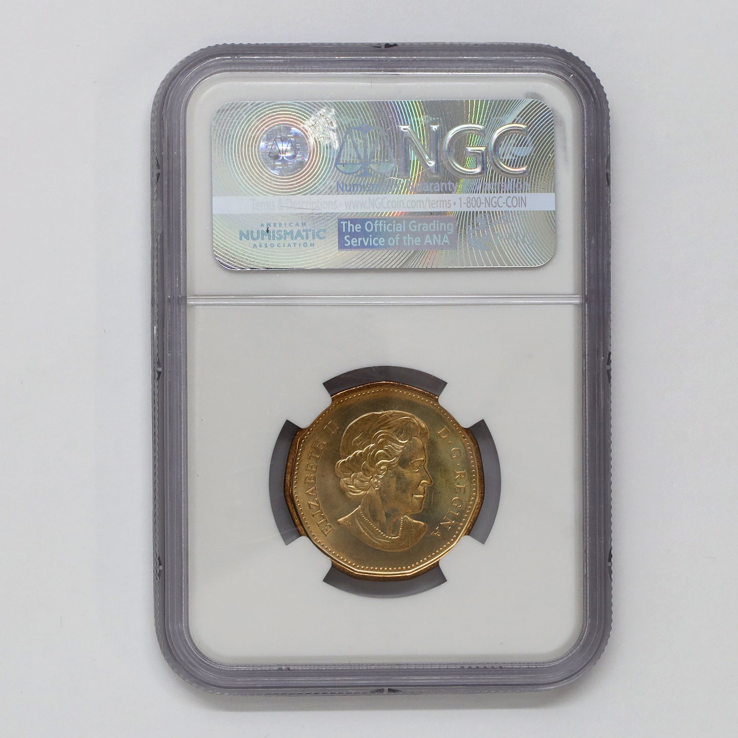 2010 Saskatchewan Roughriders Canada Loon Dollar NGC Certified MS66 (DOD)